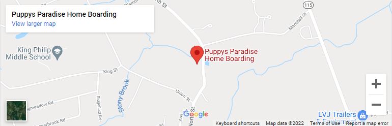 Puppy's Paradise Home Boarding & Daycare